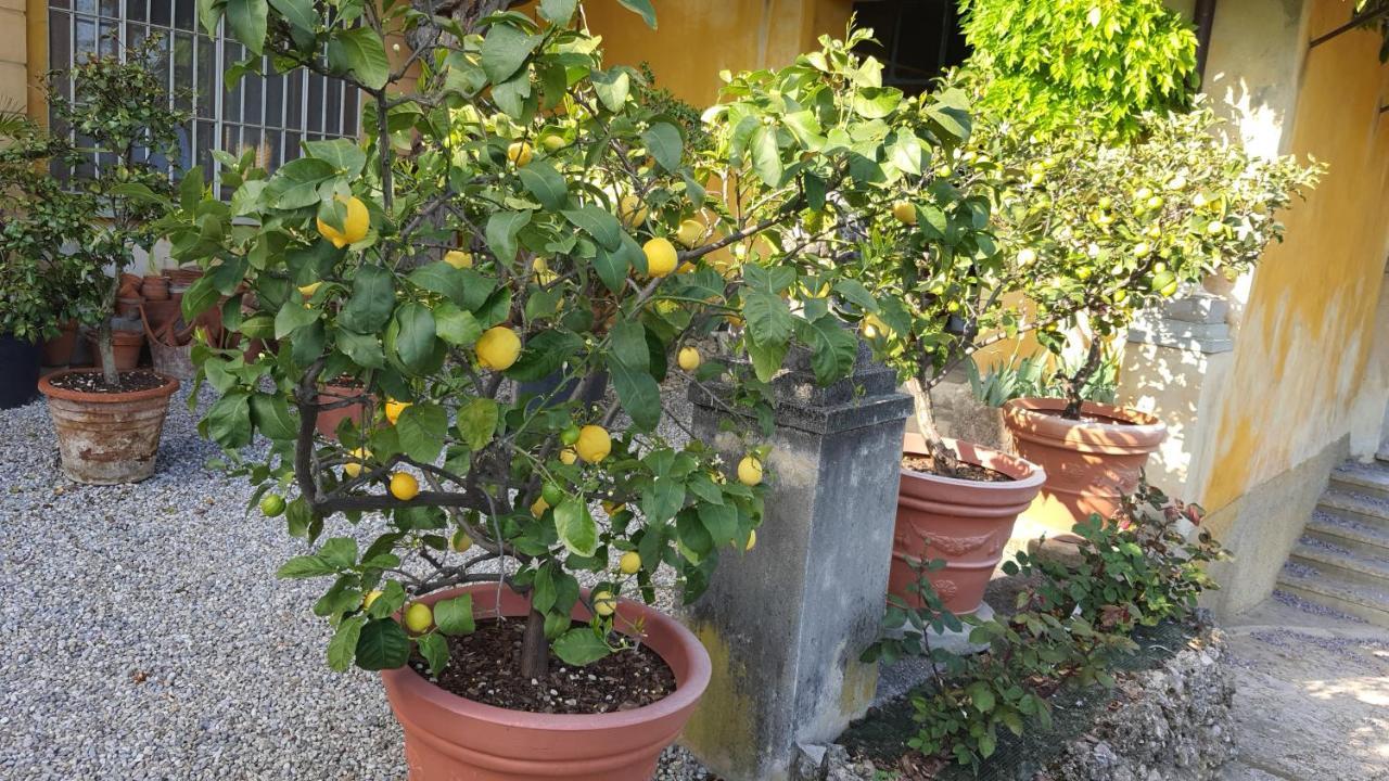 B&B Villa Sant'Anna Bergamo Luaran gambar