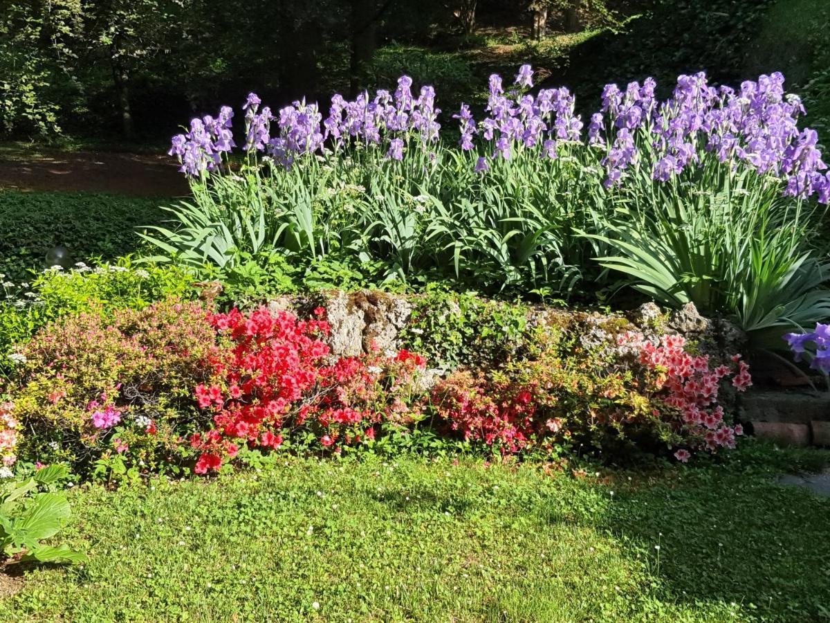 B&B Villa Sant'Anna Bergamo Luaran gambar