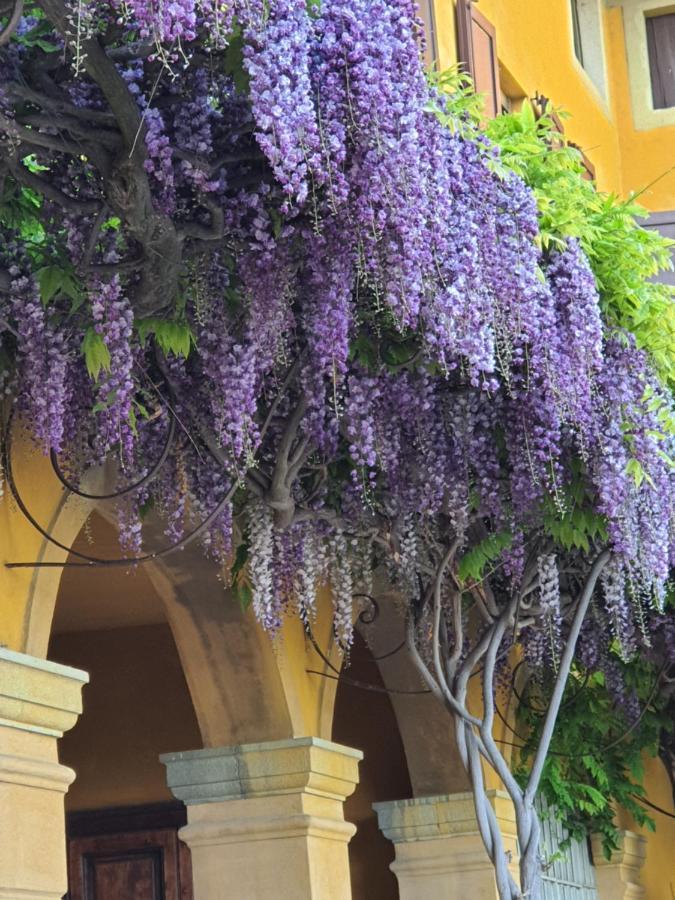 B&B Villa Sant'Anna Bergamo Luaran gambar